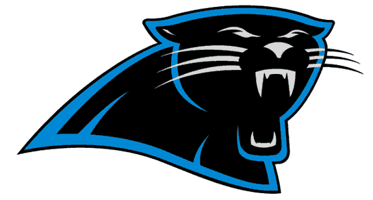 Carolina Panthers 1995-2011 Primary Logo fabric transfer